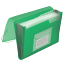 Fächertasche transl.grün