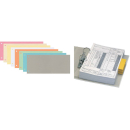 Trennstreifen 10,5x24cm 100ST grau